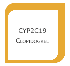 CYP2C19.png