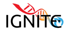 IGNITE Logo.png